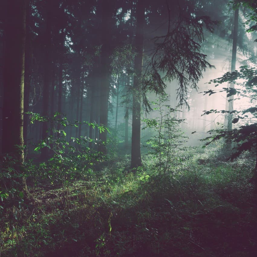artvin-tek-para-arama-icin-xp-dedektor